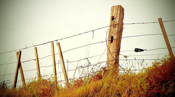 Homepage fence barb wire barbed wire nature landscapes 192a94 1024